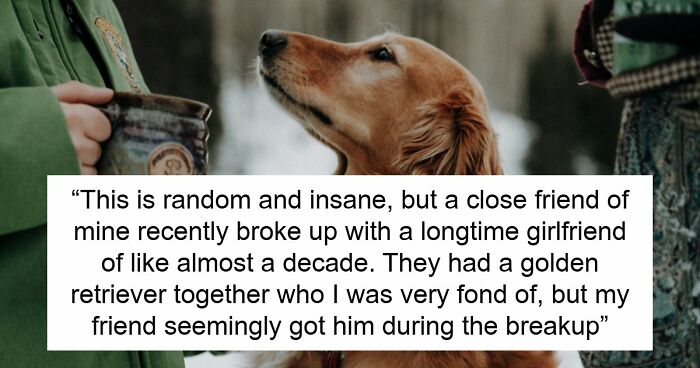 Guy Keeps Ex’s Old Dog With Him Out Of Spite, Hands Him Over To Friend After It Becomes Too Much