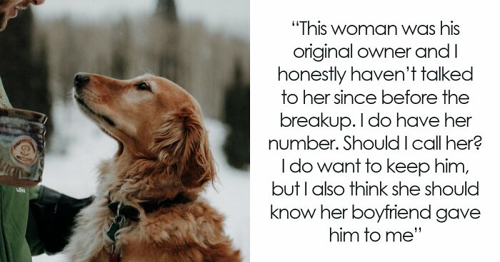 Guy Keeps Ex’s Old Dog With Him Out Of Spite, Hands Him Over To Friend After It Becomes Too Much