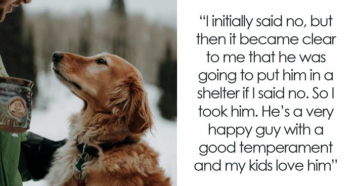 Guy Keeps Ex’s Old Dog With Him Out Of Spite, Hands Him Over To Friend After It Becomes Too Much