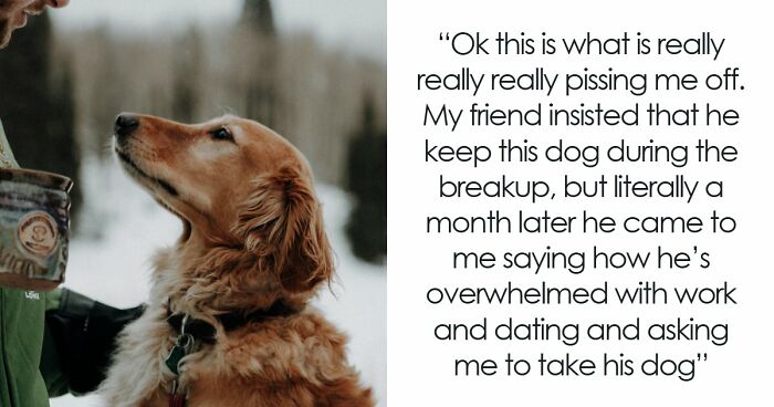 Guy Keeps Ex’s Old Dog With Him Out Of Spite, Hands Him Over To Friend After It Becomes Too Much