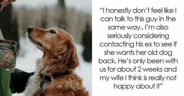 Guy Keeps Ex’s Old Dog With Him Out Of Spite, Hands Him Over To Friend After It Becomes Too Much