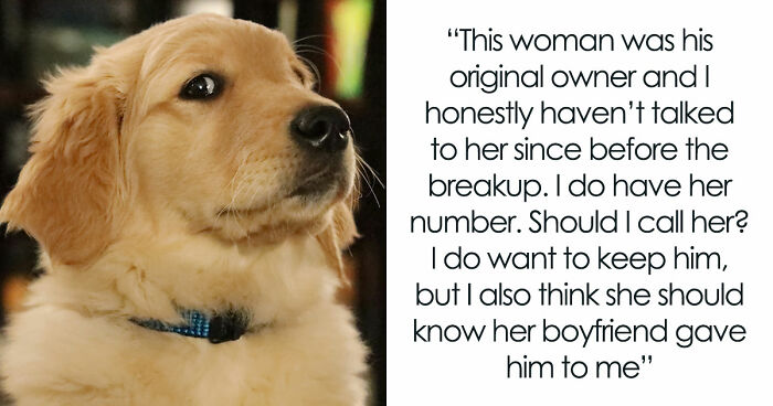 Guy Keeps Ex’s Old Dog With Him Out Of Spite, Hands Him Over To Friend After It Becomes Too Much