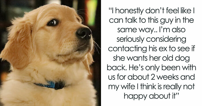 Guy Keeps Ex’s Old Dog With Him Out Of Spite, Hands Him Over To Friend After It Becomes Too Much