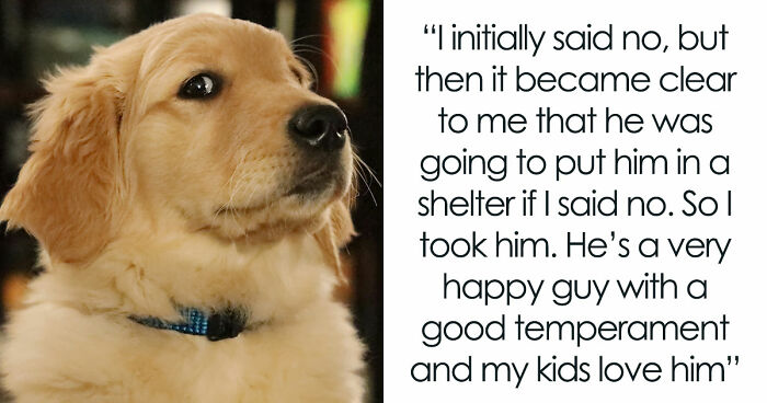Guy Keeps Ex’s Old Dog With Him Out Of Spite, Hands Him Over To Friend After It Becomes Too Much