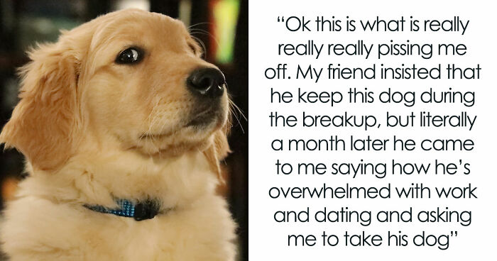 Guy Keeps Ex’s Old Dog With Him Out Of Spite, Hands Him Over To Friend After It Becomes Too Much