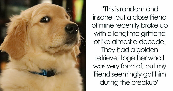 Guy Keeps Ex’s Old Dog With Him Out Of Spite, Hands Him Over To Friend After It Becomes Too Much