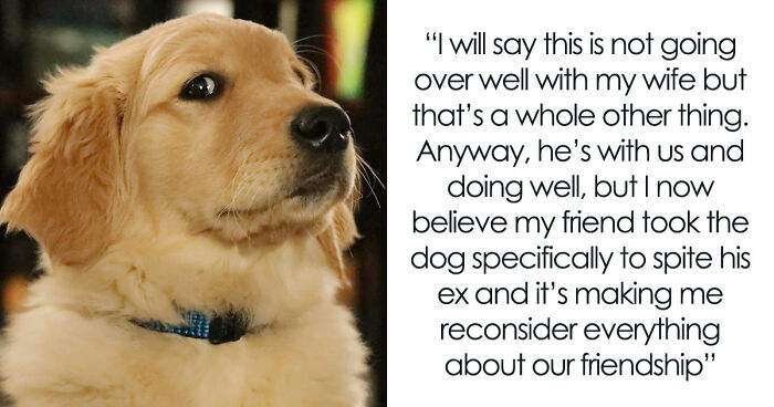 Guy Keeps Ex’s Old Dog With Him Out Of Spite, Hands Him Over To Friend After It Becomes Too Much