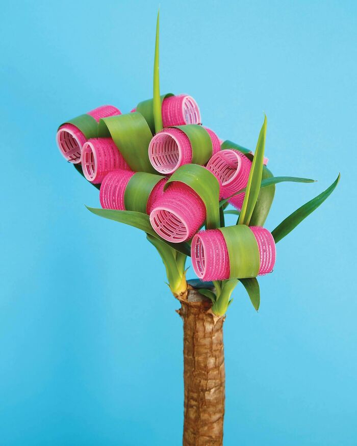 Plant Grooming