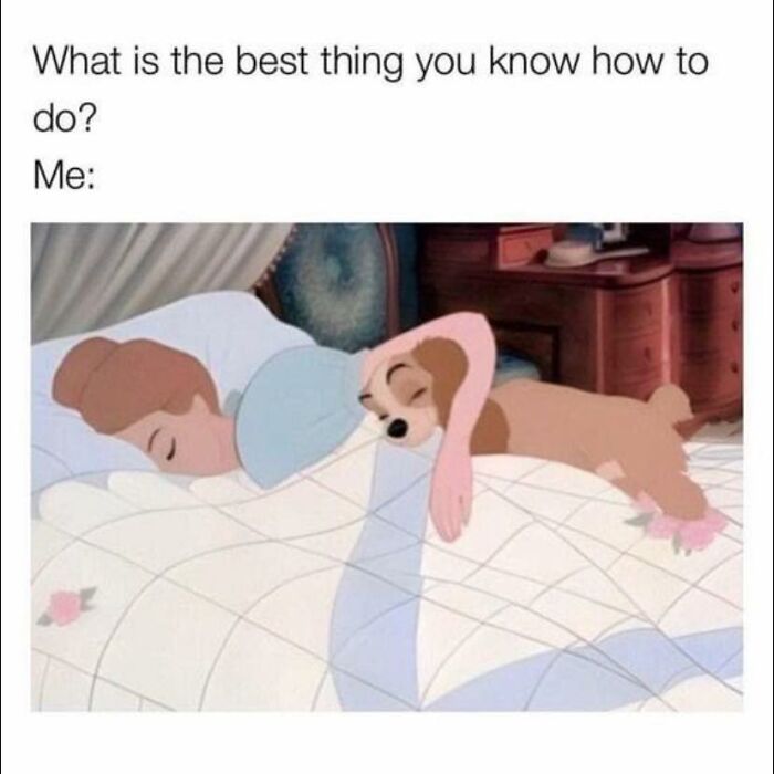 Funny meme showing person and dog sleeping illustrating best skill