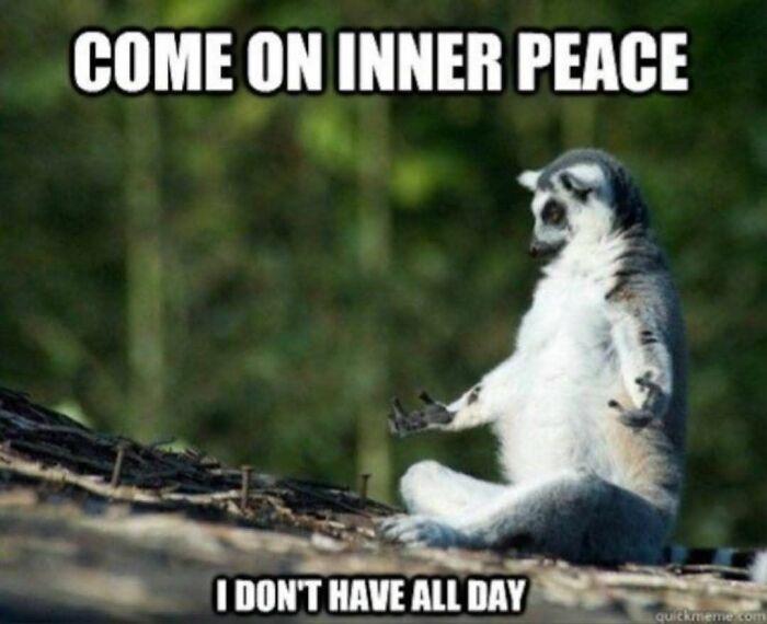 Lemur meditating meme about finding inner peace humor