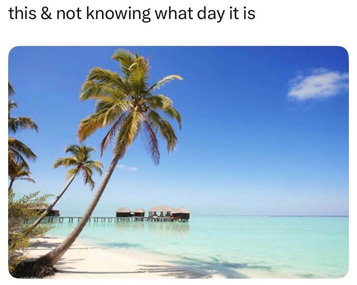 Tropical beach scene meme about not knowing the day