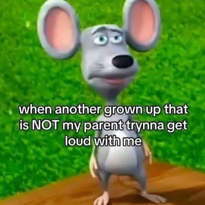 Funny meme mouse reaction to grown up acting loud meme