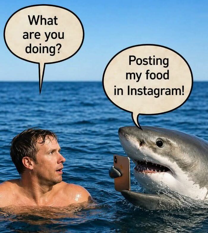 Shark talking to man about posting food on Instagram meme