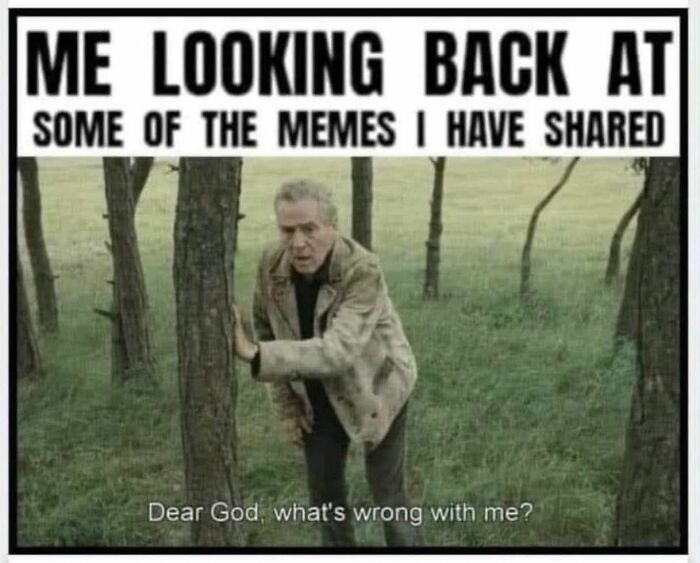 Man looks back at memes shared questioning himself meme