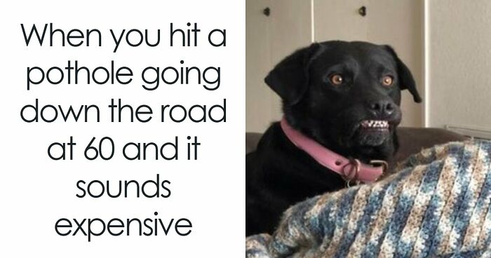 “Drop The Most Recent Meme You Stole”: 68 Funny And Ridiculous Posts