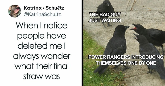 “Drop The Most Recent Meme You Stole”: 68 Funny And Ridiculous Posts