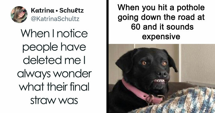 “Drop The Most Recent Meme You Stole”: 68 Funny And Ridiculous Posts