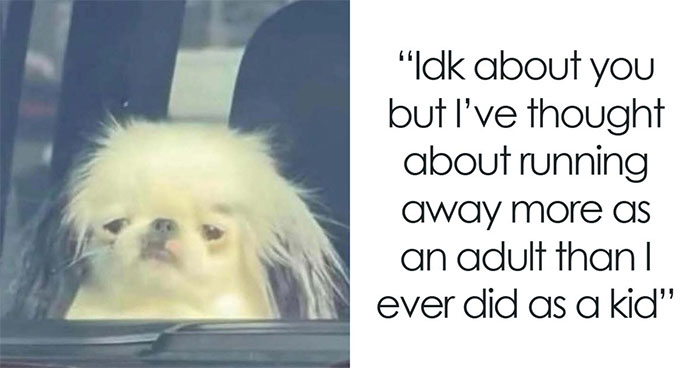 71 Memes That Are Basically Internet Soup, But A Delicious One