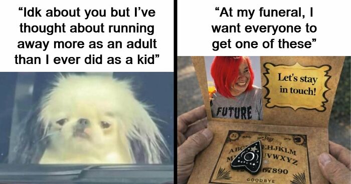 71 Memes That Are Basically Internet Soup, But A Delicious One