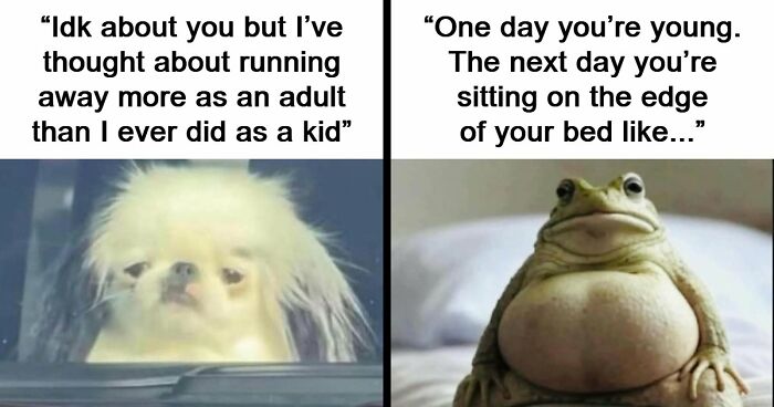 71 Memes That Are Basically Internet Soup, But A Delicious One