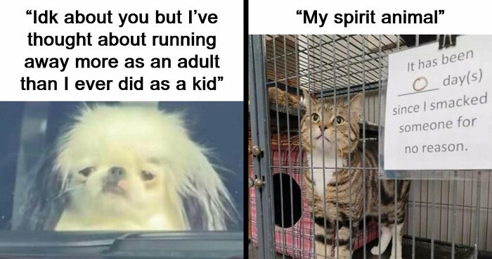 71 Memes That Are Basically Internet Soup, But A Delicious One