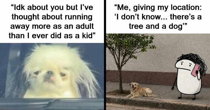 71 Memes That Are Basically Internet Soup, But A Delicious One