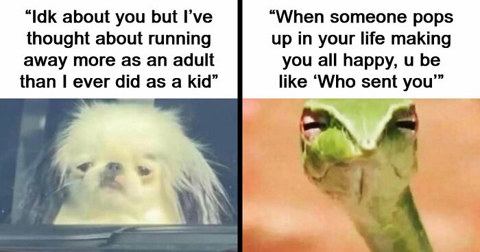 71 Memes That Are Basically Internet Soup, But A Delicious One
