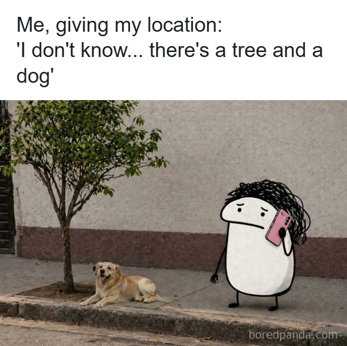 A relatable meme about giving vague directions: A cartoon figure holds a phone, walking a dog by a tree. Random memes.