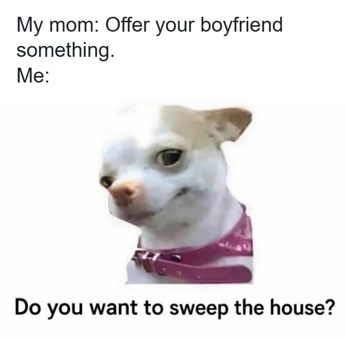 Humorous meme featuring a chihuahua in a pink collar, with text about offering a boyfriend something, for laughter.