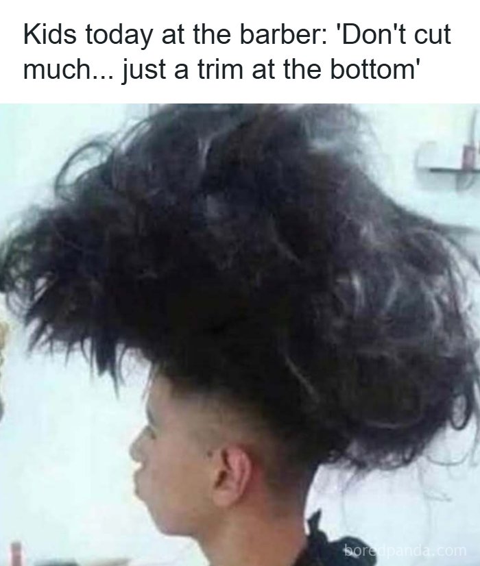 A meme showing a person with an extreme haircut: shaved sides and huge, messy curly hair on top, bringing laughter.