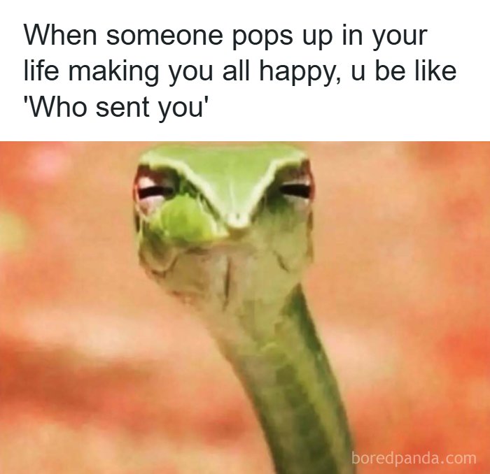 Funny random meme featuring a skeptical green snake with the text "When someone pops up in your life making you all happy, u be like 'Who sent you'". Brings laughter!