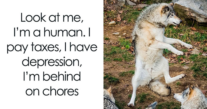 81 Funny Animal Memes That Might Temporarily Fix Your Life