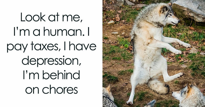 81 Funny Animal Memes That Might Temporarily Fix Your Life