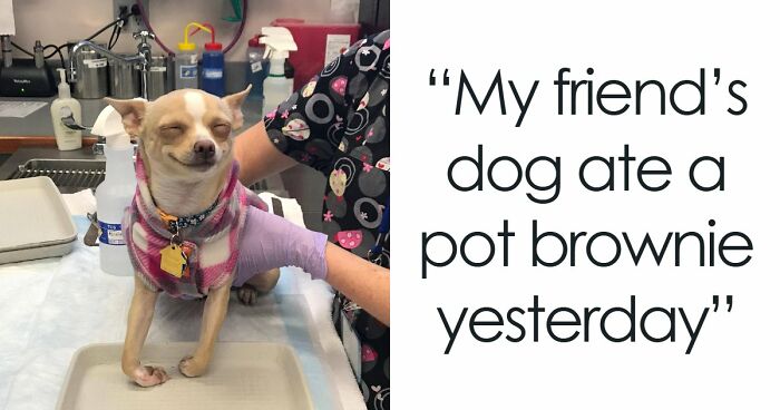 99 Funny Animal Faces That Prove Every Creature On Earth Has A Whole Personality