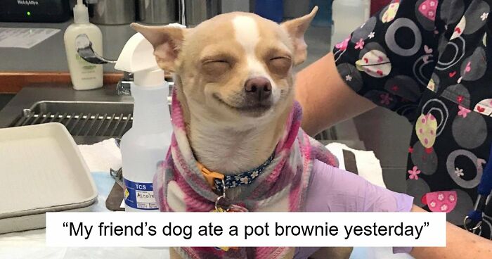 99 Funny Animal Faces That Prove Every Creature On Earth Has A Whole Personality