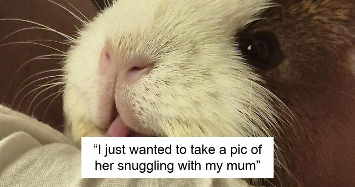 99 Funny Animal Faces That Prove Every Creature On Earth Has A Whole Personality