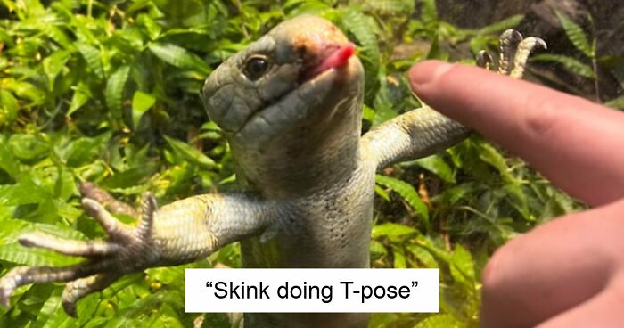 99 Funny Animal Faces That Prove Every Creature On Earth Has A Whole Personality