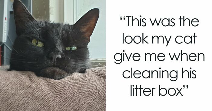 99 Funny Animal Faces That Prove Every Creature On Earth Has A Whole Personality