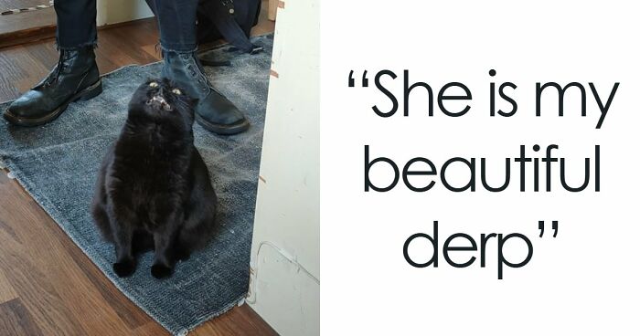 99 Funny Animal Faces That Prove Every Creature On Earth Has A Whole Personality
