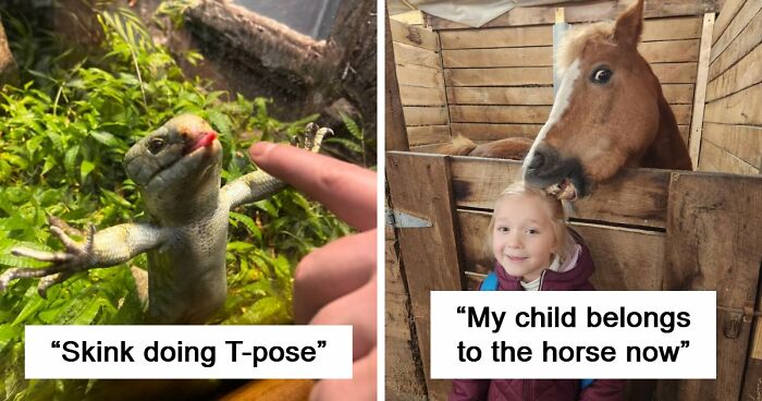 99 Funny Animal Faces That Prove Every Creature On Earth Has A Whole Personality