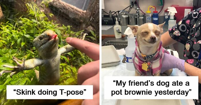 99 Funny Animal Faces That Prove Every Creature On Earth Has A Whole Personality
