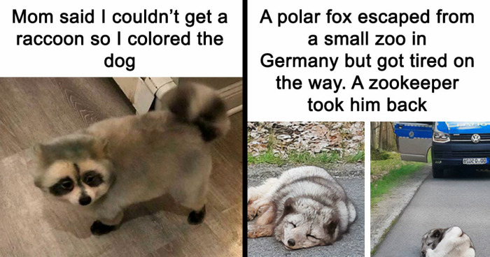 “Blessed Images”: 117 Soul-Healing Posts Full Of Positivity To Make Your Day A Little Better