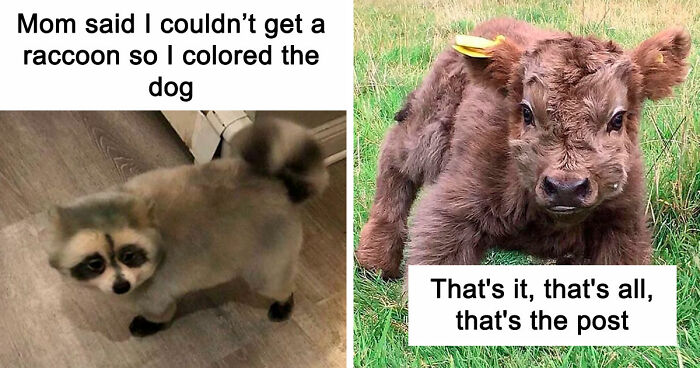 “Blessed Images”: 117 Soul-Healing Posts Full Of Positivity To Make Your Day A Little Better