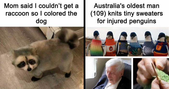 “Blessed Images”: 117 Soul-Healing Posts Full Of Positivity To Make Your Day A Little Better