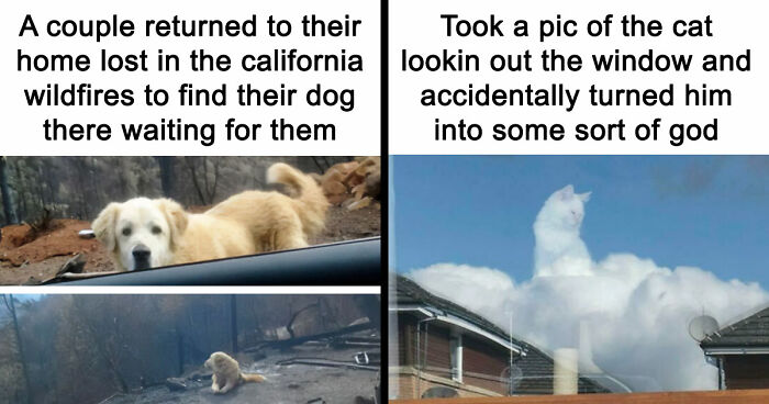 “Blessed Images”: 117 Soul-Healing Posts Full Of Positivity To Make Your Day A Little Better