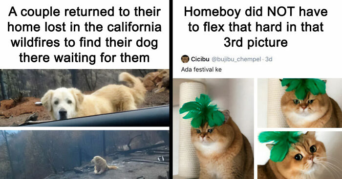 “Blessed Images”: 117 Soul-Healing Posts Full Of Positivity To Make Your Day A Little Better