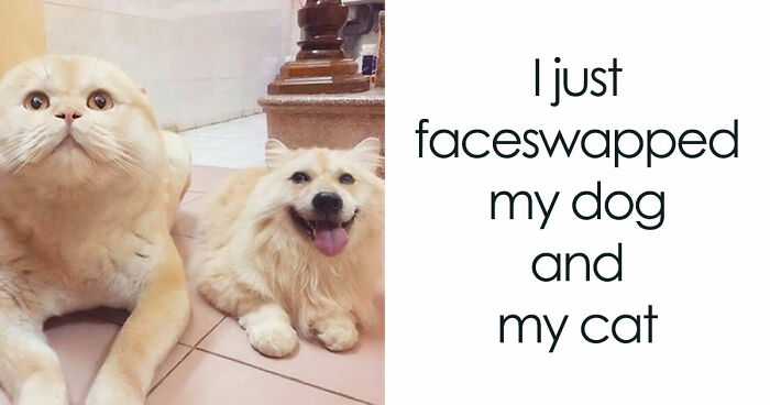 “Blessed Images”: 117 Soul-Healing Posts Full Of Positivity To Make Your Day A Little Better
