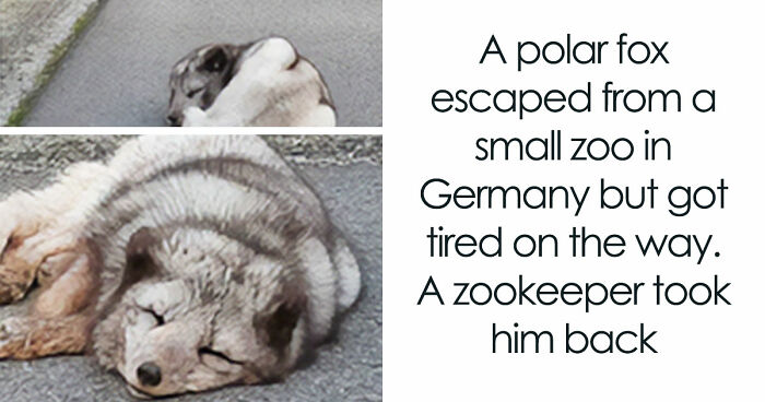 “Blessed Images”: 117 Soul-Healing Posts Full Of Positivity To Make Your Day A Little Better