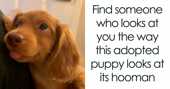 “Blessed Images”: 117 Soul-Healing Posts Full Of Positivity To Make Your Day A Little Better