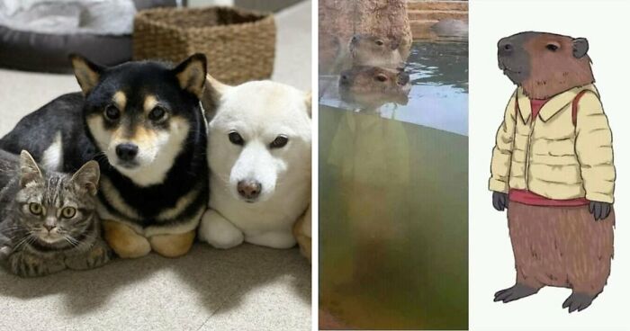“Blessed Images”: 117 Soul-Healing Posts Full Of Positivity To Make Your Day A Little Better